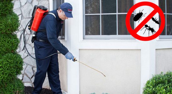 Lice Kemirgen İlaçlama böcek ilaçlama ve haşere kontrolü — ilaclama-tr.com
